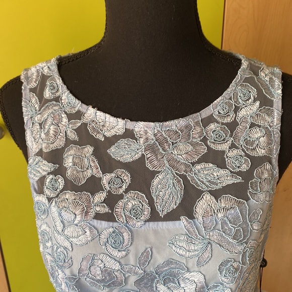 Gorgeous Lace Dress - Picture 6 of 11